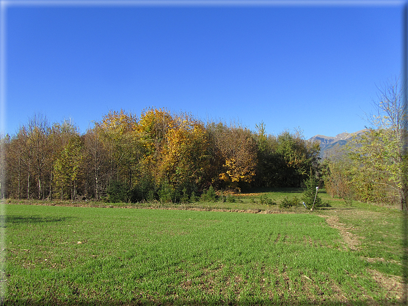 foto Alle pendici del Monte Grappa in Autunno